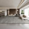 Carpet living room is versatile, modern, simple, light, luxurious and high-end