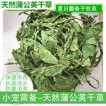 Health care pasture dandelion dried grass for clearing away heat and detoxifying antibacterial anti-inflammatory dragon cat rabbit 50g