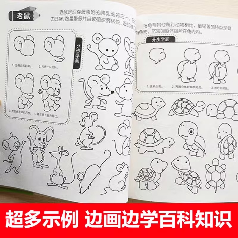 儿童简笔画5000例 手绘本 3-4-5-6岁幼儿园小学生美术入门启蒙教程学画画 幼师画画教材图画书籍临摹本涂色大全 新华正版