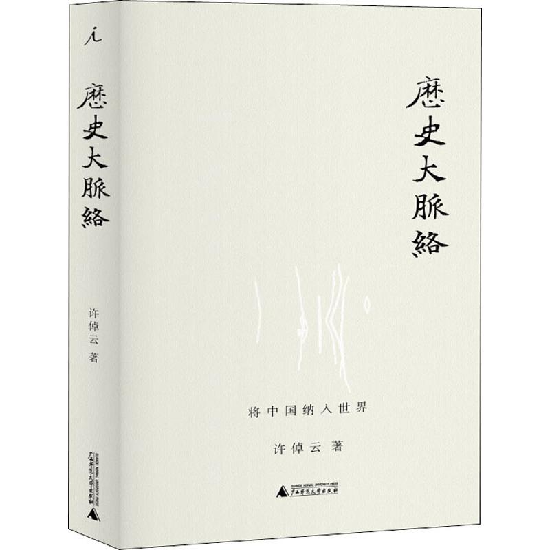 历史大脉络 许倬云 著 学贯中西的史学耆宿写给普通读者的通俗之作 梳理历史的发展脉络 一部气势磅礴的大历史 广西师大 正版包邮 - 图3