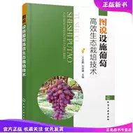 巨峰葡萄苗 新人首单立减十元 21年8月 淘宝海外