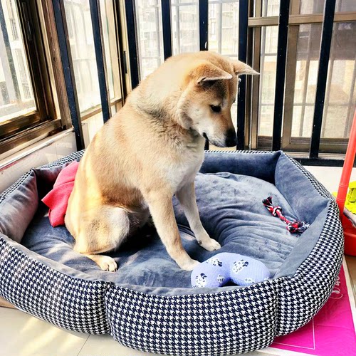 狗窝可拆洗网红泰迪比熊巴哥窝 金毛萨摩耶 猫窝大型犬窝四季通用 - 图0