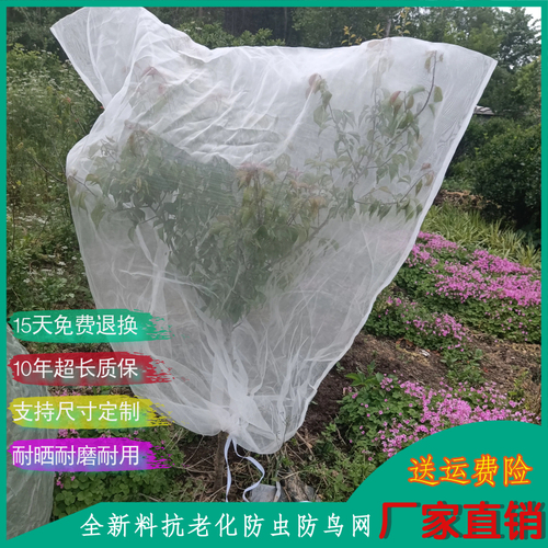 果树防虫防鸟网罩加密大棚蔬菜果园防蚊虫果蝇针蜂白粉虱尼龙纱网