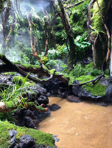 黑色火山石鱼缸造景装饰山水石熔岩石过滤水池大块火山岩原石草缸 - 图3