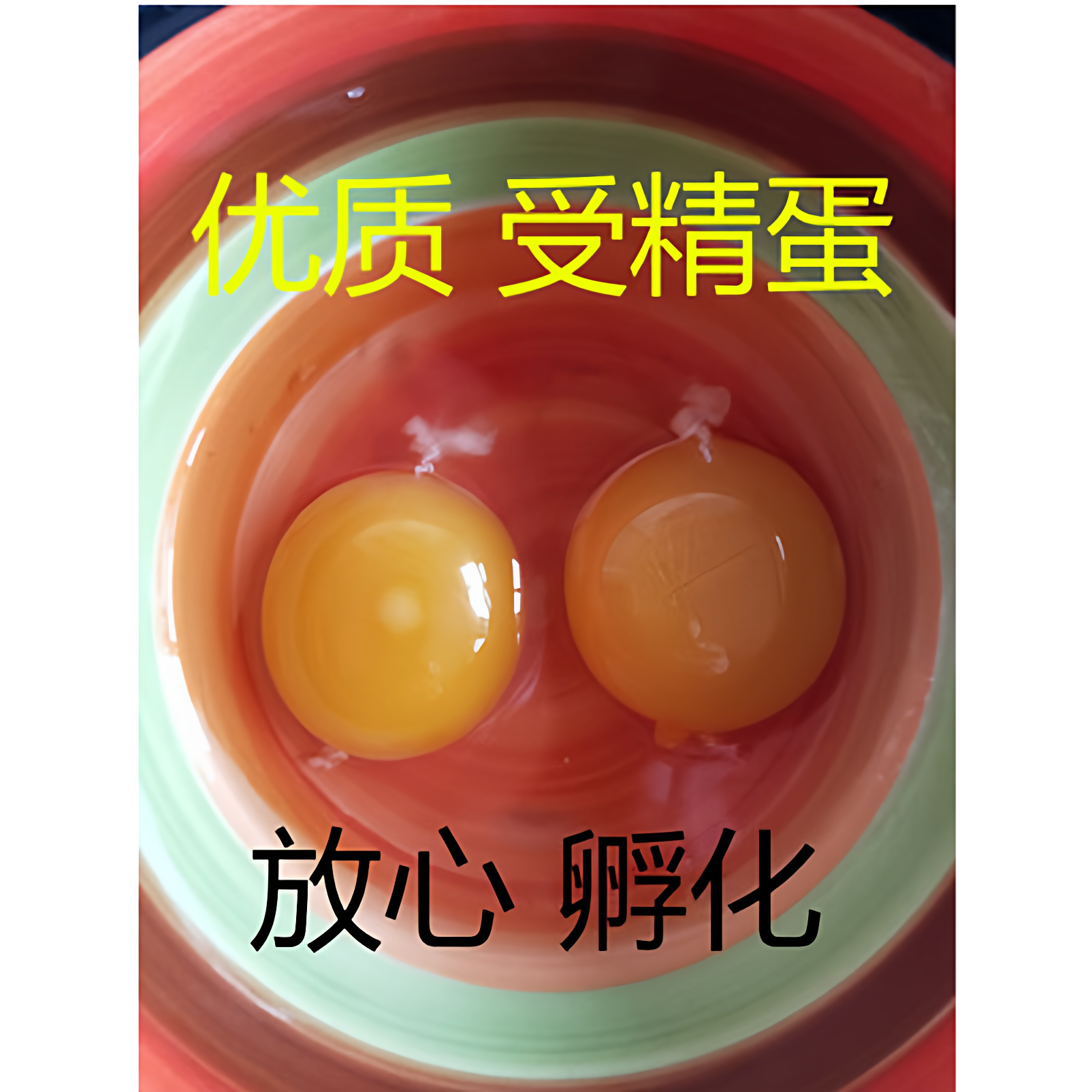 大体型青脚红瑶种蛋可孵化小鸡土鸡种蛋农家散养受精种蛋是宠物鸡,淘宝优惠券,粉丝福利购,淘宝优惠卷