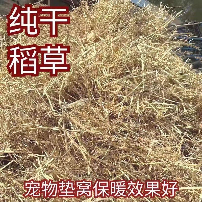 稻草干草垫料兔子过冬草狗窝鸡宠物垫窝天然干稻草秸秆禾杆草保暖,淘宝优惠券,粉丝福利购,淘宝优惠卷