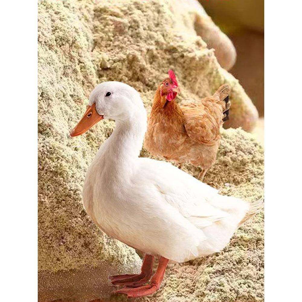 十斤新鲜稻糠谷糠米糠粉猪糠喂鸡鸭鹅鱼动物天然饲料稻谷壳粉,淘宝优惠券,粉丝福利购,淘宝优惠卷