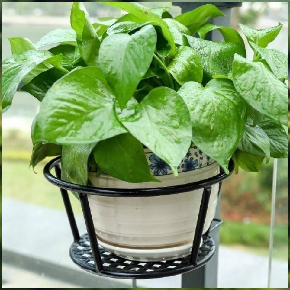 加宽特大号花架阳台栏杆花盆架铁艺悬挂式护栏窗台绿萝多肉置物架,淘宝优惠券,粉丝福利购,淘宝优惠卷