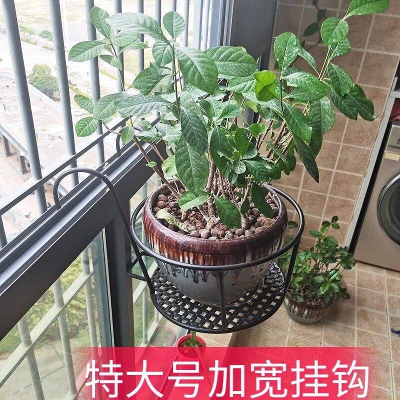 加宽特大号花架阳台栏杆花盆架铁艺悬挂式护栏窗台绿萝多肉置物架,淘宝优惠券,粉丝福利购,淘宝优惠卷