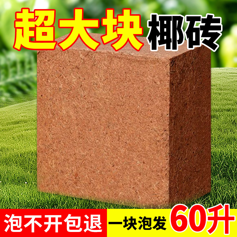 椰砖大块营养土种菜专用椰糠养花通用型土壤种植土脱盐粗耶砖进口,淘宝优惠券,粉丝福利购,淘宝优惠卷
