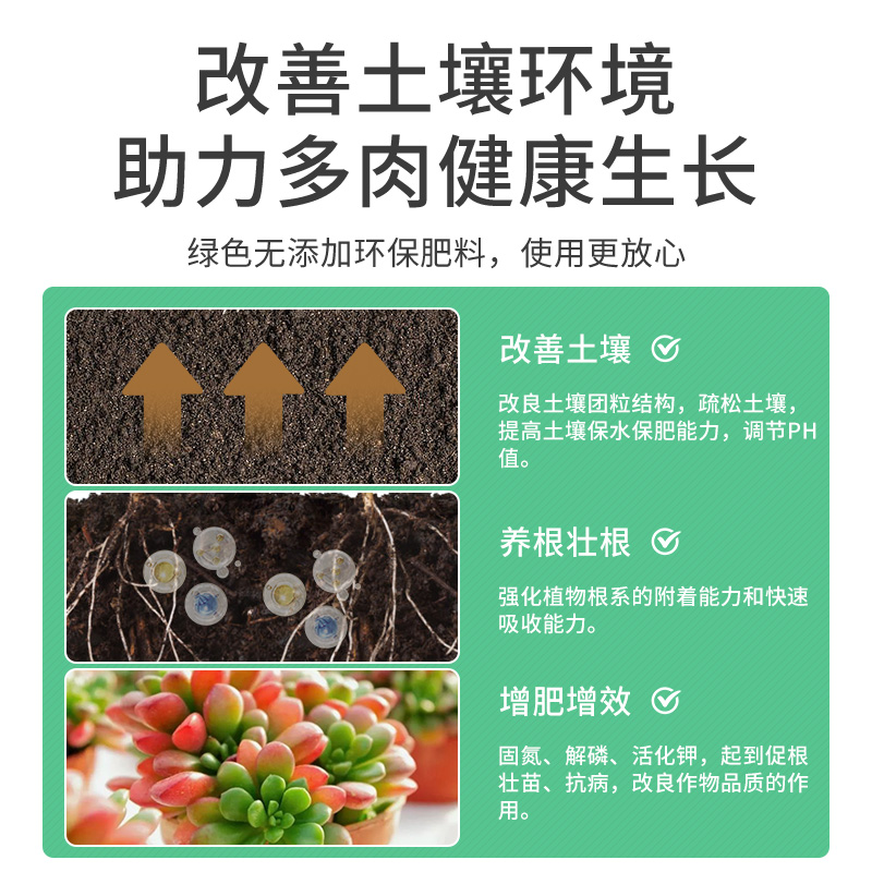 多肉专用肥缓释营养粒缓控释颗粒肥花卉绿植通用型氮磷钾复合肥料-图2