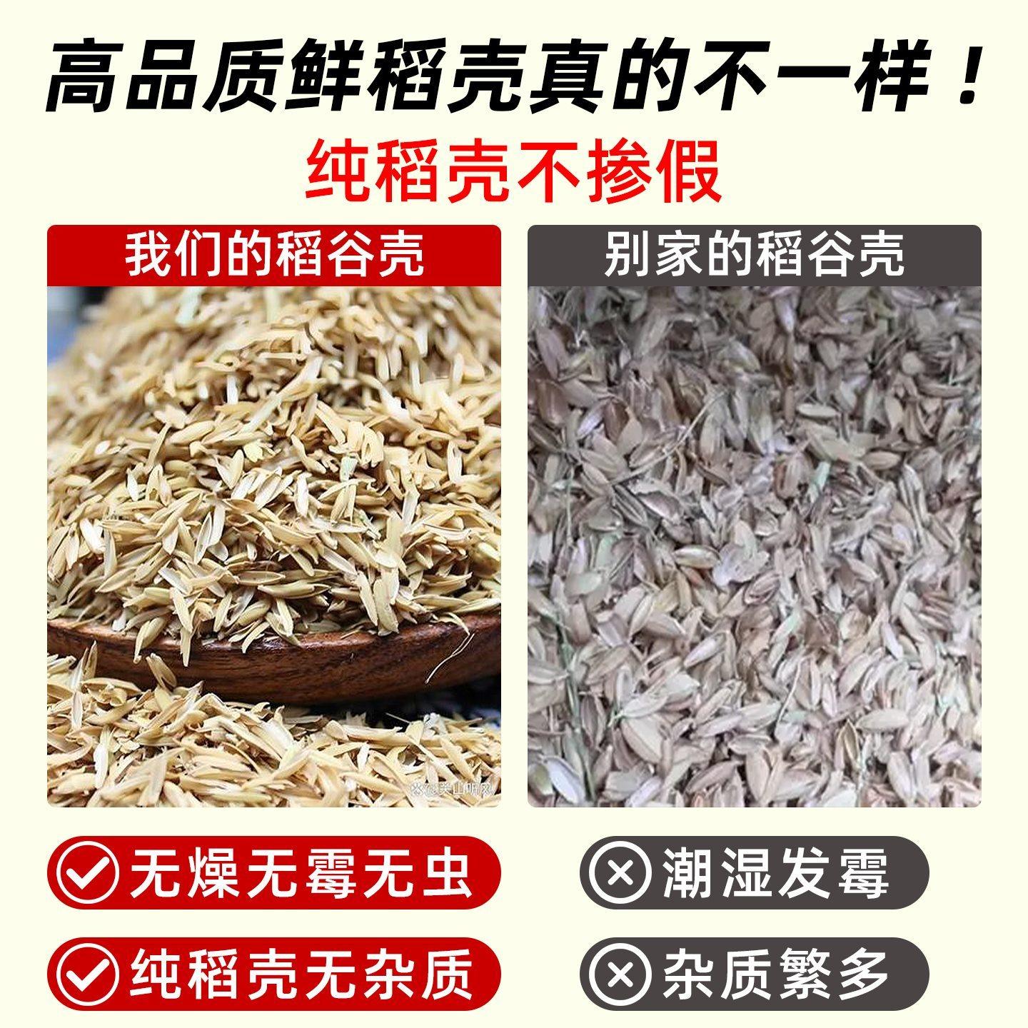 新鲜稻壳垫料稻谷壳粗米糠喂鸡宠物芦丁鸡枕头芯填充酿酒纯干饲料,淘宝优惠券,粉丝福利购,淘宝优惠卷