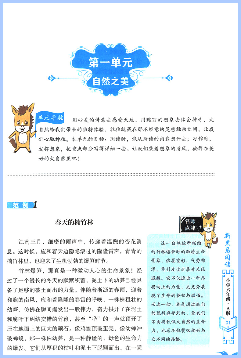 2024新黑马阅读语文课外阅读训练六年级A版 通用版 小学语文6年级课外阅读理解专项训练题 同步拓展阅读训练工具资料练习书 - 图3