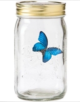 Trekking in the same jar Butterfly Jars Romantic Gift Ideas Gift Ideas Bottle Send Girls Will Fly