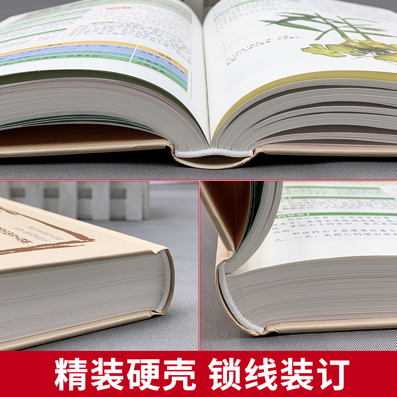 正版汤头歌诀正版全集无删减彩图精装中医书籍中医药方选录中医常用方剂300余方民间家庭偏方秘方大全中医养生配方中医药方书籍-图2