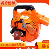 Petrol Dryer Greenhouse Blow Snow Machine Two-stroke Site Dusting Machine Forest Fire Extinguishing Blown Date Blown Tea Machine