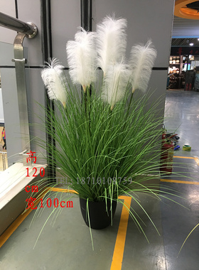 加密仿真狗尾草芦苇橱窗花卉简约