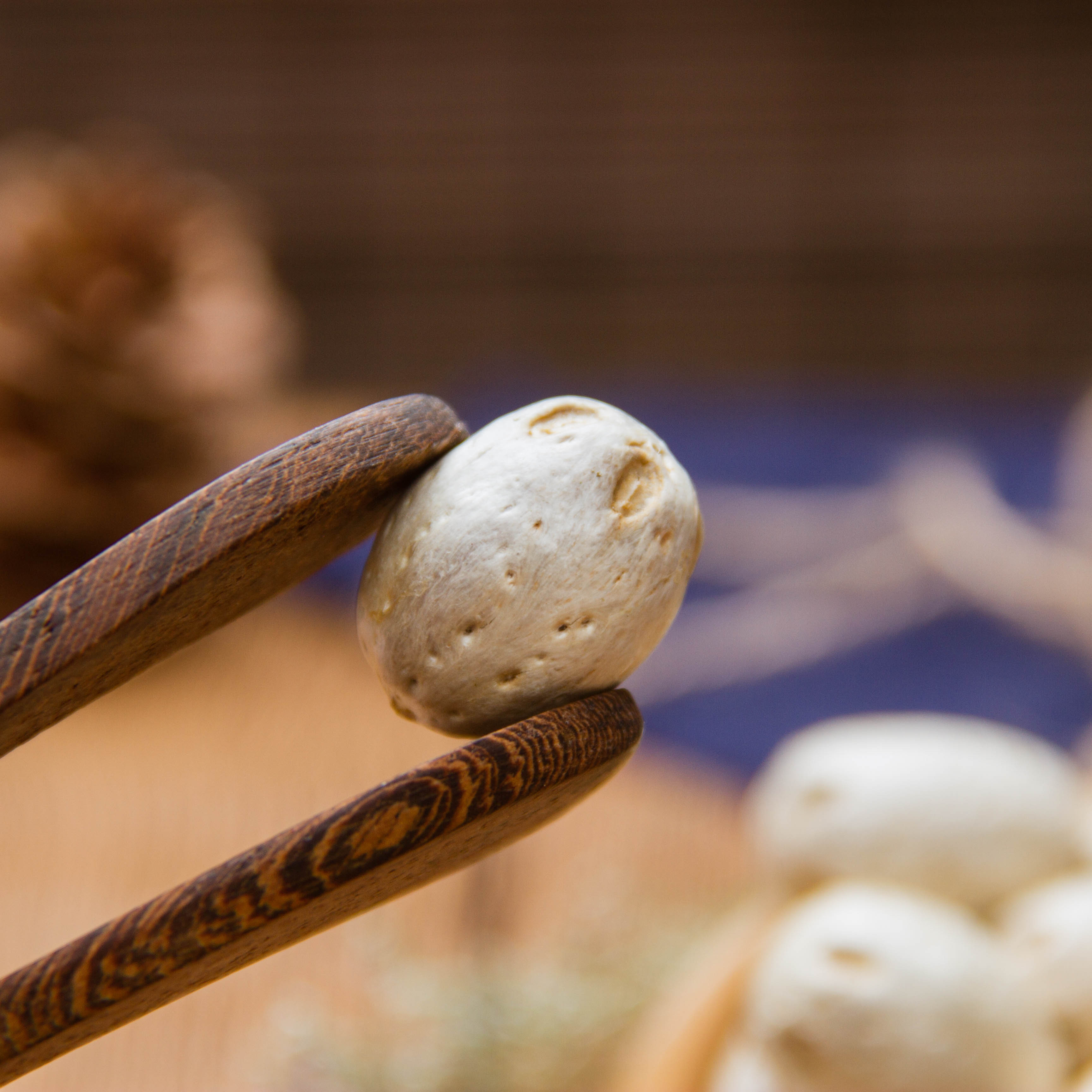 中药材五眼果500g克精选正品新货中草五眼果种子货郎果菩提 - 图2