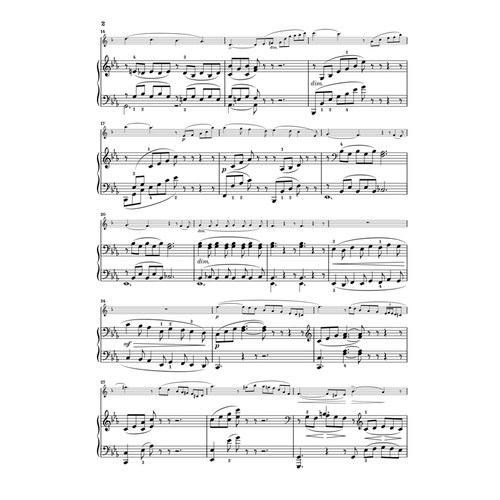 亨乐原版 圣桑 单簧管奏鸣曲op167 附钢琴伴奏 带指法 Saint-Saens Klarinettensonate op.167 HN965 - 图2