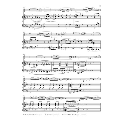 亨乐原版 圣桑 单簧管奏鸣曲op167 附钢琴伴奏 带指法 Saint-Saens Klarinettensonate op.167 HN965 - 图3