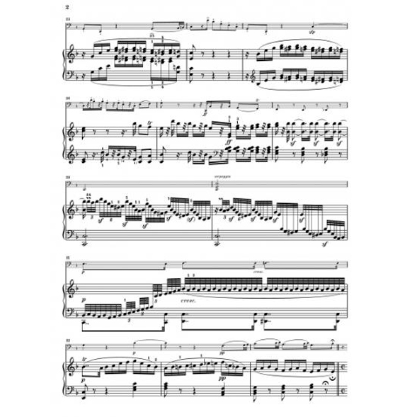 亨乐原版贝多芬 F大调大提琴奏鸣曲Op5 No1附钢琴伴奏 Beethoven Violoncello Sonata F major op. 5 no. 1 HN1471-图2