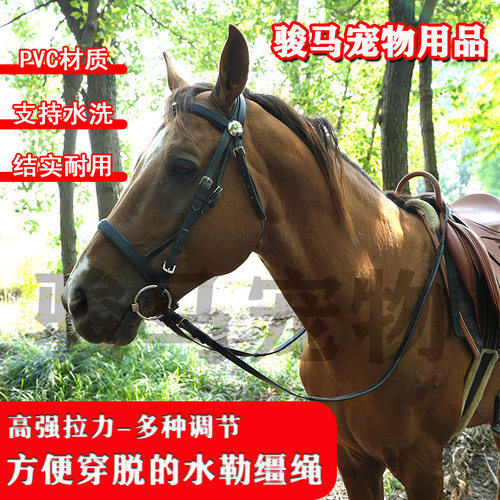 耐用Pvc马术装备套装水勒缰绳，马笼头套与缰绳带可拆卸马嚼子 - 图1