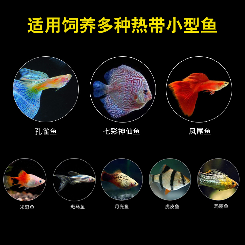 海豚牌热带鱼饲料下沉式鱼粮小型微粒观赏鱼凤尾鱼燕鱼孔雀鱼鱼食 - 图0