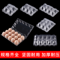 Egg Storage Box Plastic Transparent Egg Tomid number of specifications Disposable Earth Egg packaging boxes thickened