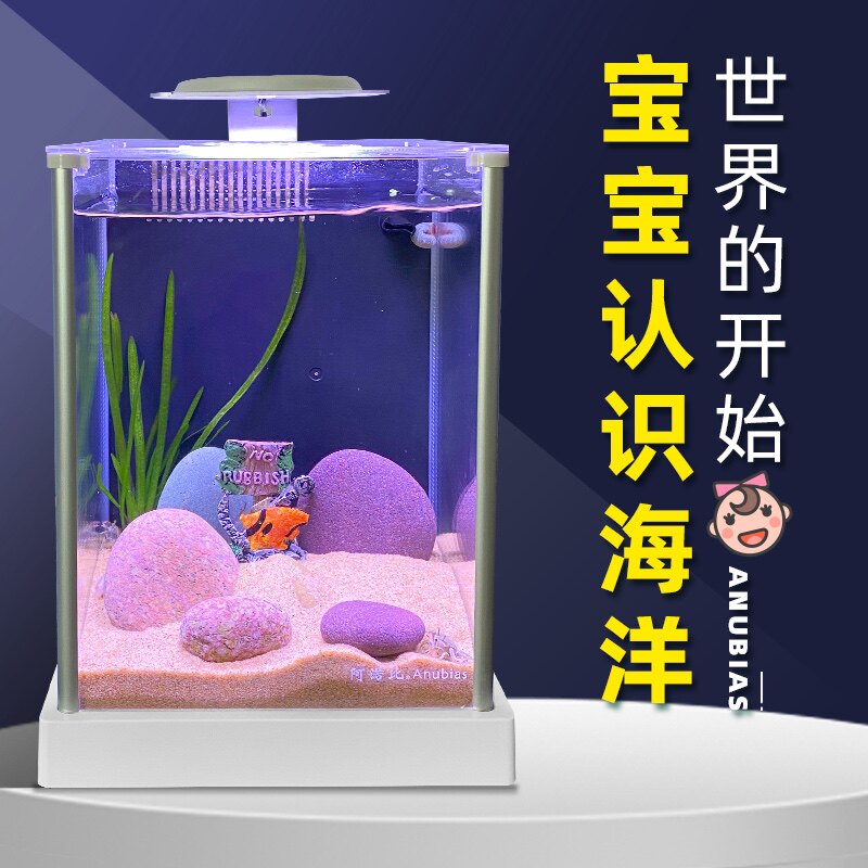 阿诺比迷你生态鱼缸造景静音背滤小型斗鱼虾缸海水桌面玻璃水族箱