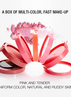 5 color powder blusher 5 in 1 concealer pressed powder腮红套