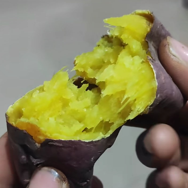 红薯秧苗玛莎莉黄金糖心蜜薯日本进口种植高产黄心板栗脱毒原种 - 图0