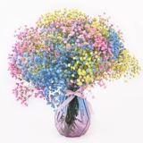 Полный Tiantian Natural Dry Flower Bouquet ins net Red Birthday New House Decorative Ornament Air -Dried Real Flow