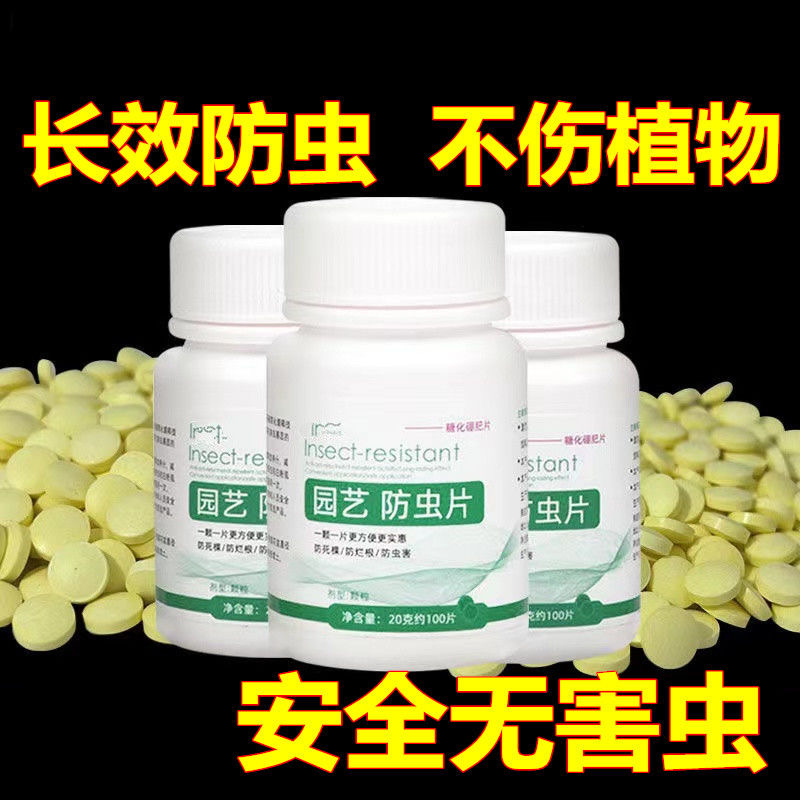 粮食防虫除米虫新款家用超市大米面粉干果药材黄豆小麦仓储保粮片-图2