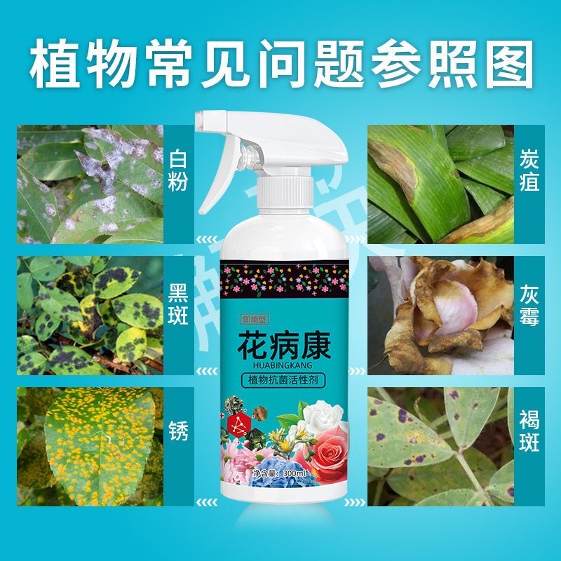 花病康植物花卉通用型花病康免稀释杀菌剂喷雾多肉炭疽黑斑病防治 - 图3