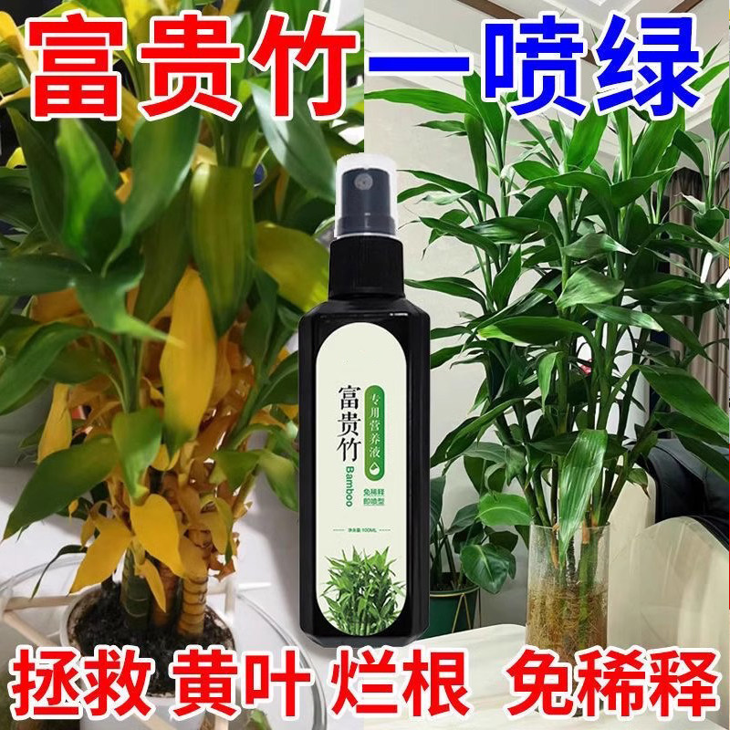 富贵竹专用营养液水培植物肥料转运观音竹子家用专治黄叶养花通用