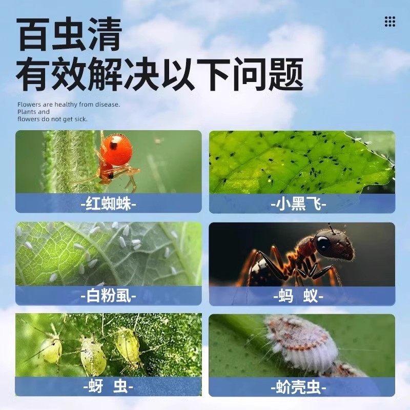 百虫清植物蔬菜通用花卉绿植除虫片多肉月季驱花蚜虫除虫浓缩片,淘宝优惠券,粉丝福利购,淘宝优惠卷