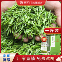 Endowed with Yaxuan Sichuan Yaan Montop Mountain Tea Alpine Cloud mist Green tea 2023 New tea Ye Ming prettier Mao Jian Mao Feng