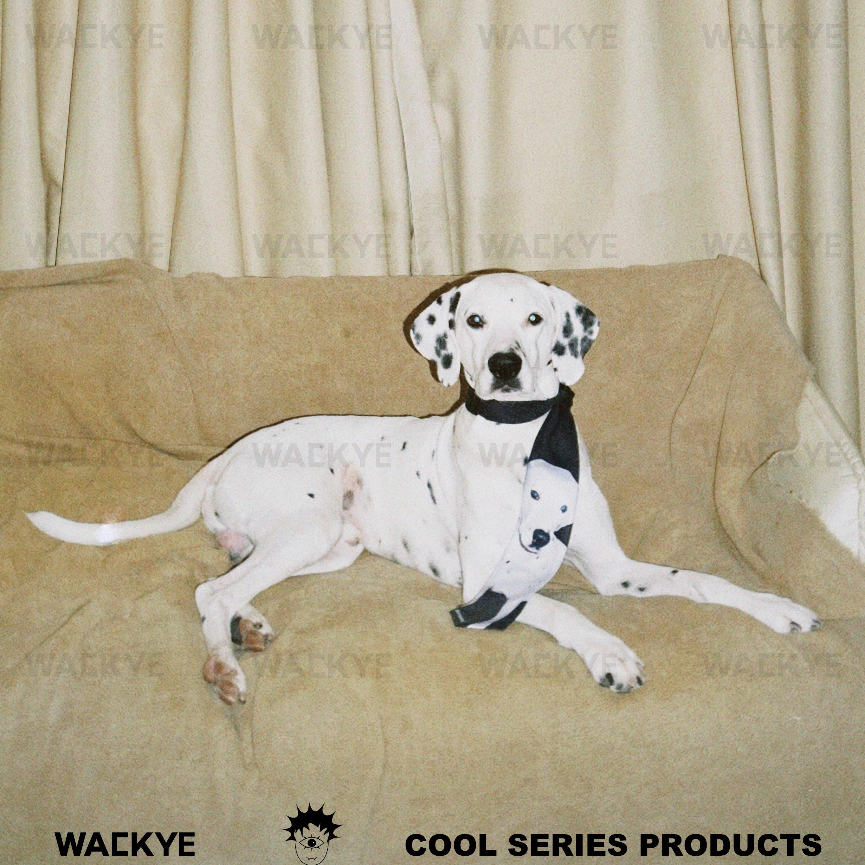 WACKYE 官方正品 焦迈奇同款 原创设计斑点狗印花手打学院风领带 - 图1