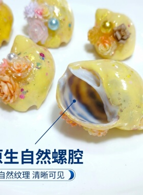 明黄色闪粉贴花装饰寄居蟹替换壳天然DIY滴胶材料桌面迷你造手工