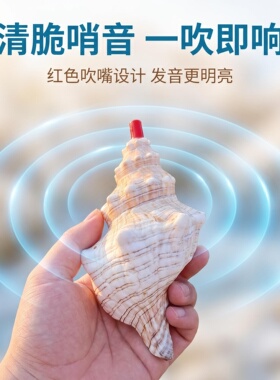 天然儿童海螺贝壳口哨号角喇叭儿童玩具可吹螺号礼物哨子