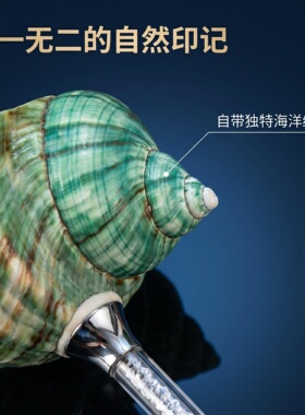 态生活ins风高颜值天然海螺贝壳高脚杯创意红酒杯子精致居家摆件