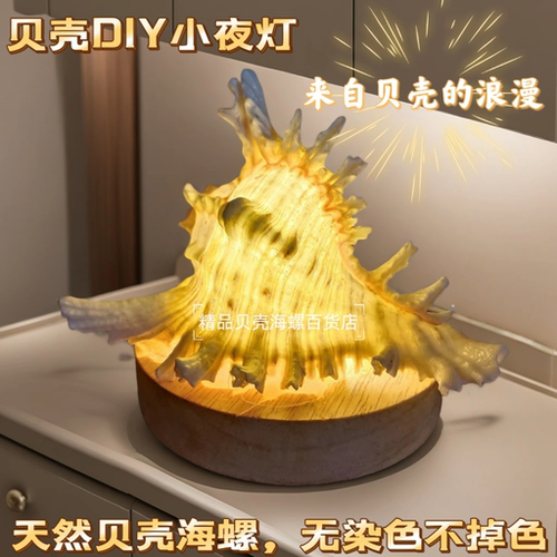 成品海螺小夜灯生日七夕礼物贝壳海胆灯diy手工材料包活动沙龙 - 图0