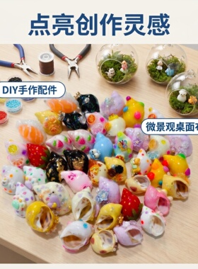 寄居蟹专用扁口天然海螺壳精选替换壳鱼缸装饰造景装饰diy螺壳