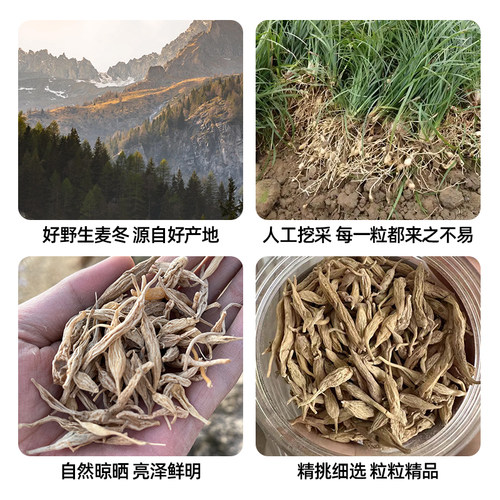 秦岭野生麦冬新货无硫天然中药材野生非四川绵阳麦门冬茶搭玉竹 - 图1