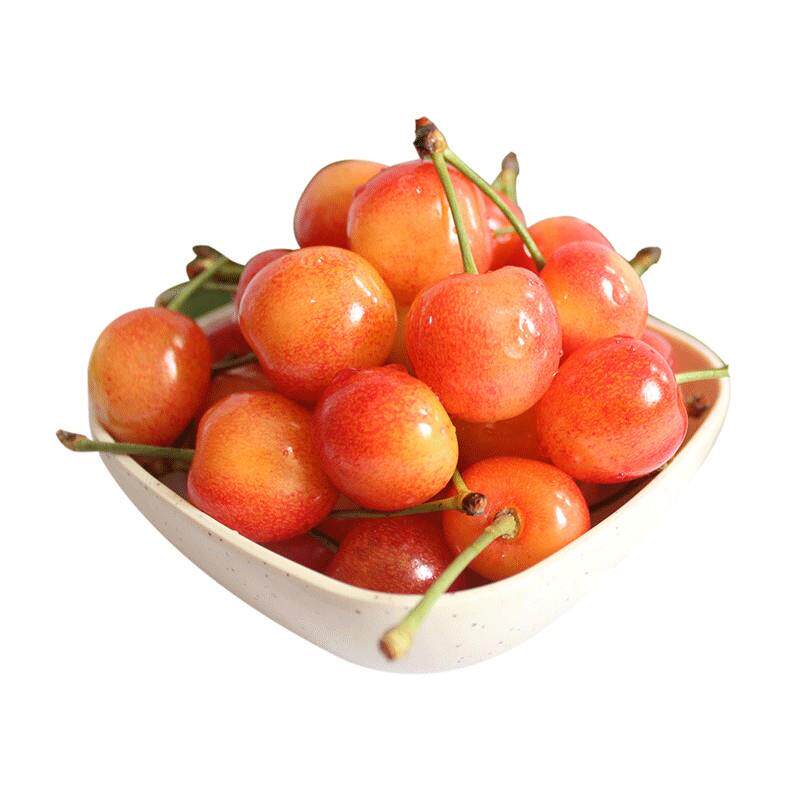 黄蜜大樱桃树樱桃苗南北方庭院地栽种植大苗盆栽嫁接矮化当年结果 - 图3