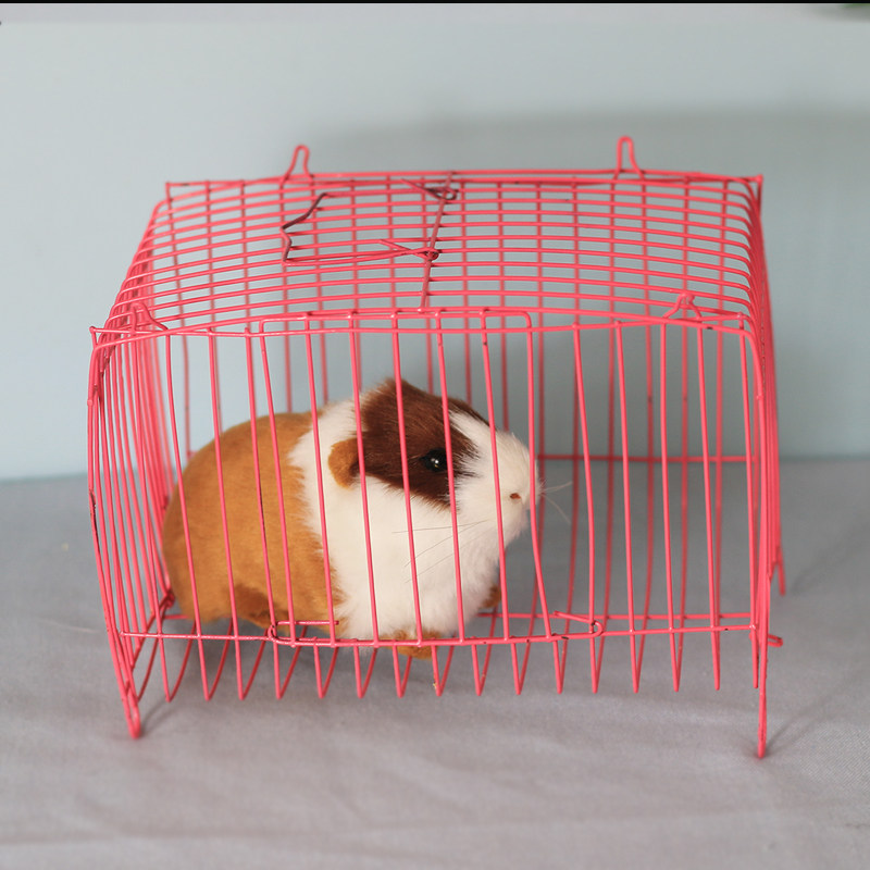 仿真动物豚鼠荷兰鼠荷兰猪海猪天竺鼠模型儿童认知教学道具仓鼠,淘宝优惠券,粉丝福利购,淘宝优惠卷