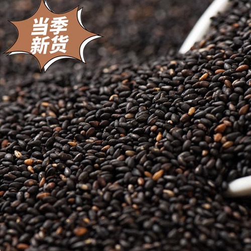 柏兰烘烤熟即食黑芝麻五谷杂粮阿胶辅料新鲜优质家用烘焙芝麻500g - 图1