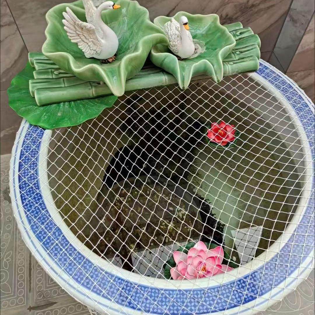 鱼缸防跳网乌龟缸防逃网圆型鱼缸防跳防猫抓网乌龟缸防走罩网子,淘宝优惠券,粉丝福利购,淘宝优惠卷