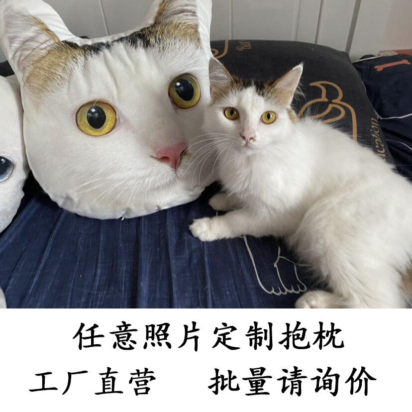 diy定制抱枕照片定做宠物枕头猫咪狗异形来图礼物可印丑猫无白边 - 图1