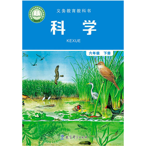 正版包邮2025适用教科版小学六年级下册科学+学生活动手册全套2本 教科版六年级下册科学+学生活动手册教育科学出版社教材教科书 - 图2